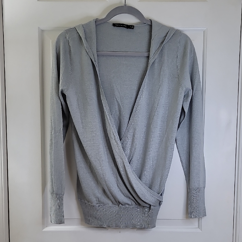 The Limited Hooded Pullover Sweater